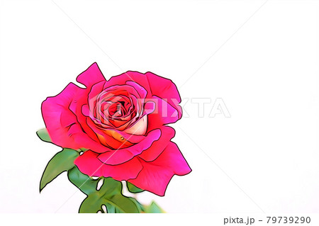 パステル調 ”バラの花” イラストイメージ パステル調 ”バラの花” イラストイメージ 79739290