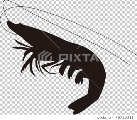 ブラックタイガーえび ブラックタイガーえび 79739311