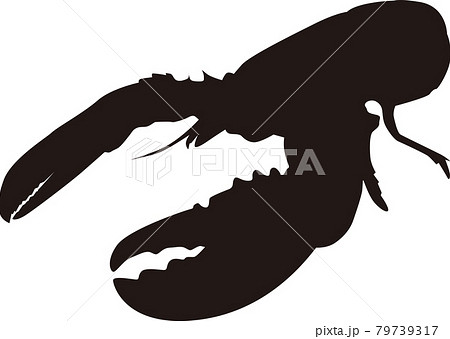 ロブスターシルエット 79739317