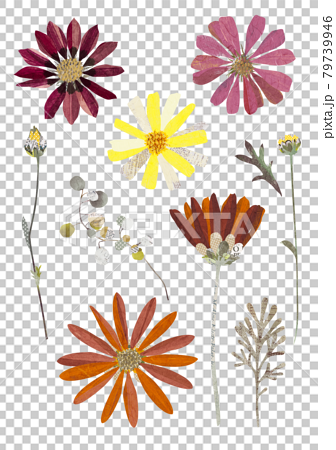 ペーパーコラージュ アンティークカラーの花セットのイラスト素材