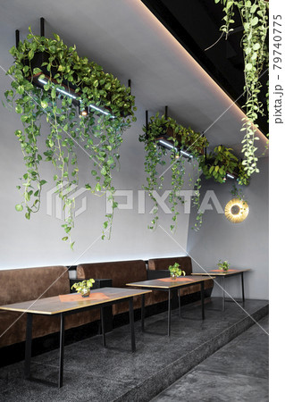 modern interior design with plants at restaurant in thailand 79740775