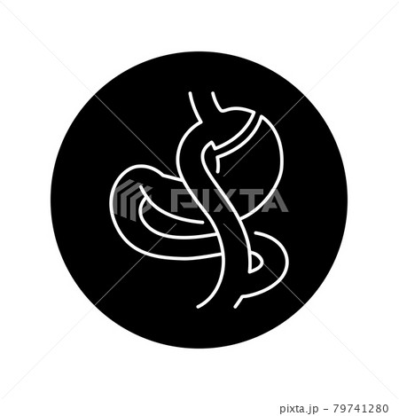 Gastric bypass Roux-en-Y olor line icon. Pictogram for web page, mobile app, promo. 79741280