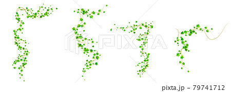 Ivy corners, climbing vine with green leaves set 79741712