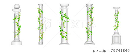 Ivy columns, antique pillars with climbing plant Ivy columns, antique pillars with climbing plant 79741846