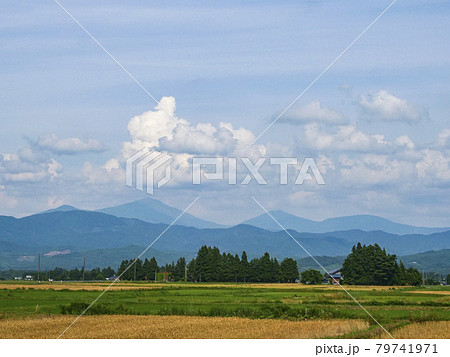 風景、写真 初夏の風物詩の麦秋 麦秋と青い山並みに白い雲 小麦が茶色に熟す初夏 風景、写真 初夏の風物詩の麦秋 麦秋と青い山並みに白い雲 小麦が茶色に熟す初夏 79741971