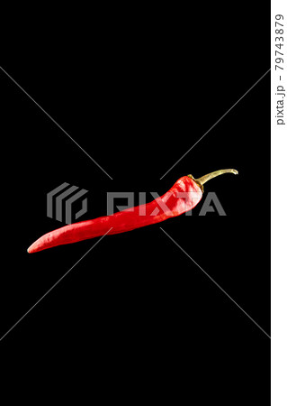 Cayenne chilli. Red hot chili paprika or spicy chile cayenne pepper isolated on black background. Fresh spice vegetable concept. Cayenne chilli. Red hot chili paprika or spicy chile cayenne pepper isolated on black background. Fresh spice vegetable concept. 79743879