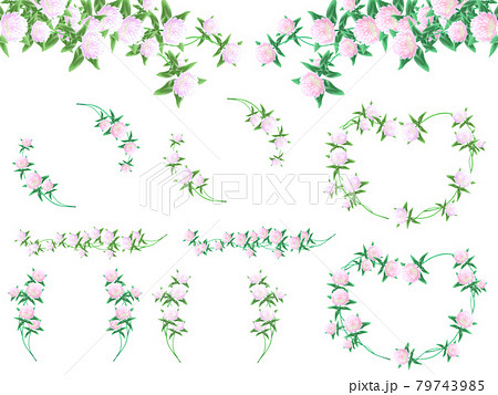 赤詰め草のライン、フレームイラストセット 79743985