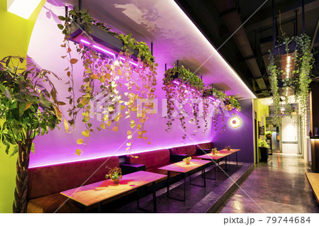 modern interior design with plants at restaurant in thailand 79744684