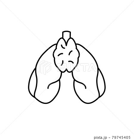 Human organs thymus color line icon. Pictogram for web page, mobile app 79745405
