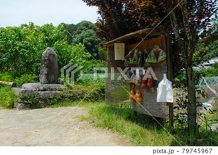 浄瑠璃寺 参道の無人市場 京都府木津川市 浄瑠璃寺 参道の無人市場 京都府木津川市 79745967