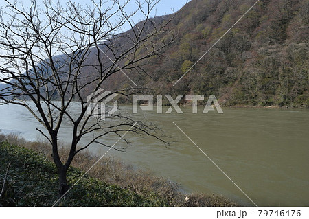 日本三大急流 最上川 79746476