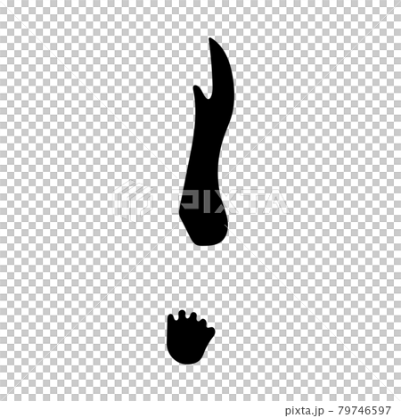 袋鼠腳印 79746597