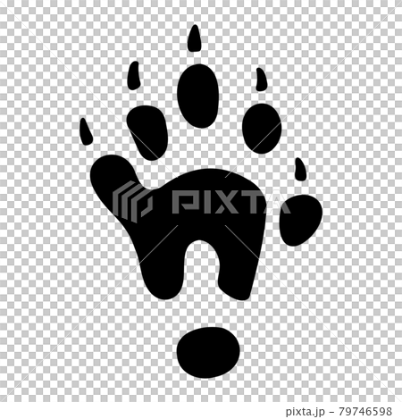 水獺的腳印 79746598