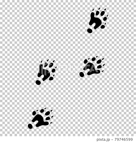 水獺的腳印 水獺的腳印 79746599