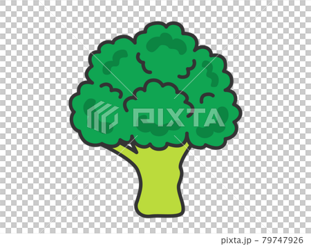 Broccoli illustration Broccoli illustration 79747926