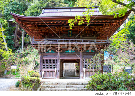 富谷観音山門 富谷観音山門 79747944