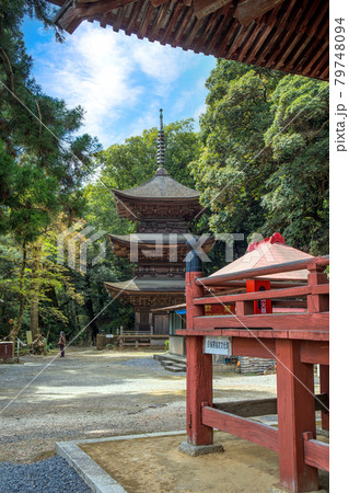 富谷観音本堂と三重塔(縦) 富谷観音本堂と三重塔(縦) 79748094