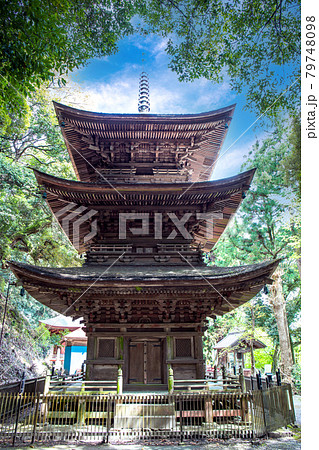 新緑と三重塔（縦） 79748098