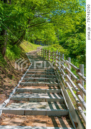 霧積ダム 霧積湖 遊歩道 初夏の周辺景色 霧積ダム 霧積湖 遊歩道 初夏の周辺景色 79748290