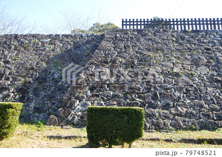 臼杵城の「石垣(井楼櫓台石垣)」(臼杵公園/大分県臼杵市) 臼杵城の「石垣(井楼櫓台石垣)」(臼杵公園/大分県臼杵市) 79748521