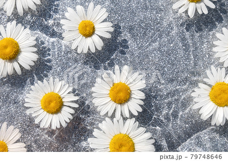 Summer background. Natural chamomile flowers and wave water on shining gray background. Top view Flat lay 79748646