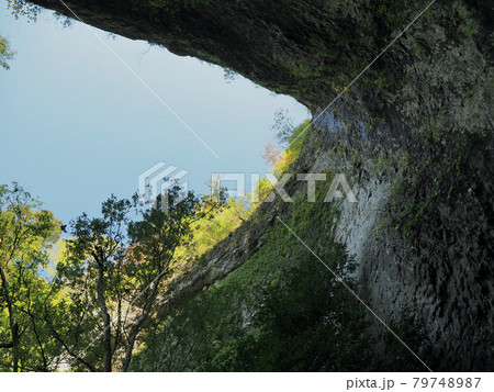 愛知県 岩古谷山 黒滝 愛知県 岩古谷山 黒滝 79748987