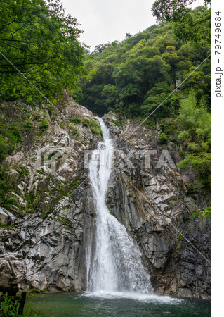 兵庫県、神戸にある布引の滝 兵庫県、神戸にある布引の滝 79749684