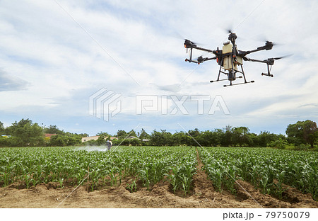 Agriculture drones fly on corn fields 79750079