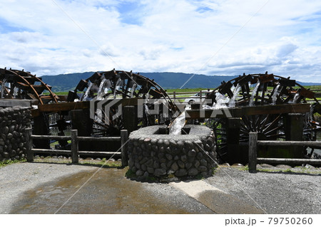 三連水車 79750260