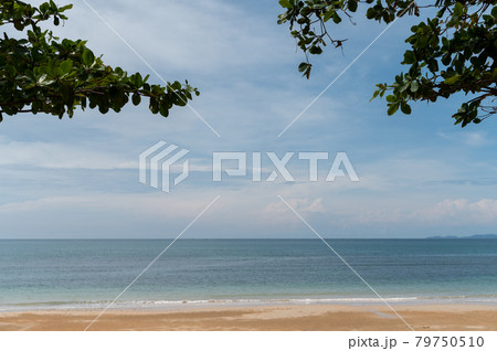 Sand beach, sea and green leaves 79750510