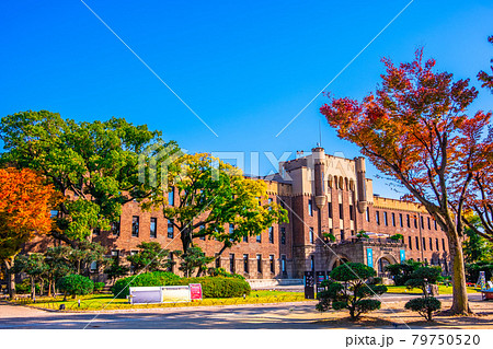 秋のミライザ大阪城 79750520