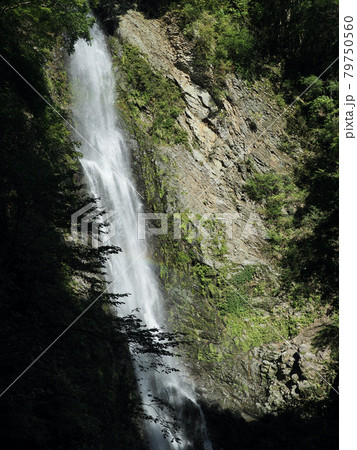 静岡県 宇嶺の滝 79750560
