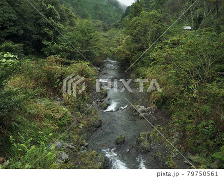 静岡県 黒俣川 静岡県 黒俣川 79750561