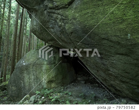 静岡県 軍艦岩 79750582