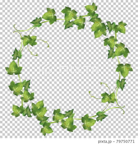 Watercolor ivy wreath Watercolor ivy wreath 79750771