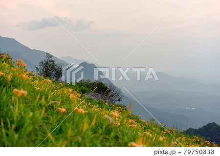 台湾 山脈 山並み 79750838