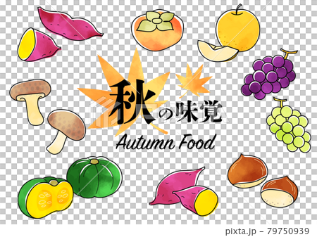 Autumn taste illustration watercolor style 79750939