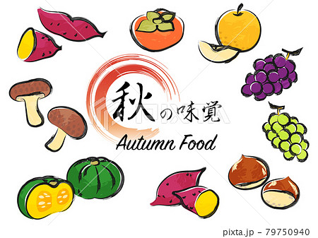 秋の味覚イラスト　和風 79750940