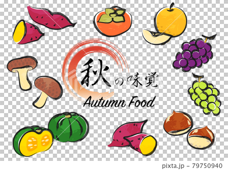 秋の味覚イラスト　和風 79750940