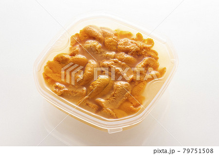 鮮度を保つ為に海水と同じ塩分濃度の塩水で保存された生ウニ 79751508