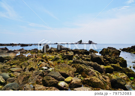 真鶴半島　海岸と三ツ石 79752083