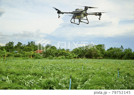 Agriculture drone fly to sprayed fertilizer on Kale field Agriculture drone fly to sprayed fertilizer on Kale field 79752145