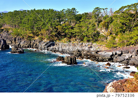 東伊豆城ヶ崎海岸 東伊豆城ヶ崎海岸 79752336