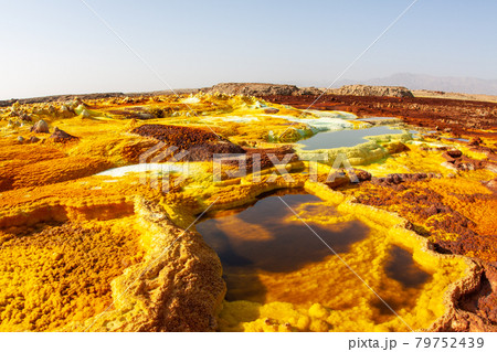 硫黄で黄色に染まったエチオピア・ダナキル砂漠ダロール 硫黄で黄色に染まったエチオピア・ダナキル砂漠ダロール 79752439