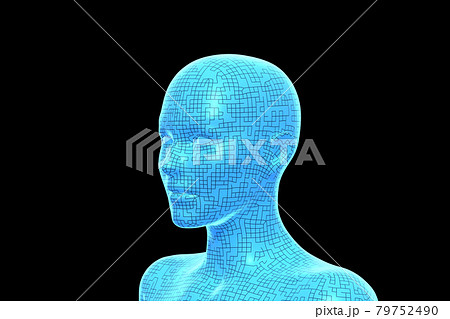 女性の体, 頭部, 3D 79752490