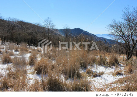 雪の積もる日本百名山の祖母山を登山 霧氷の写真素材