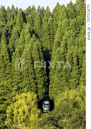 久大本線杉林のトンネル 久大本線杉林のトンネル 79752875