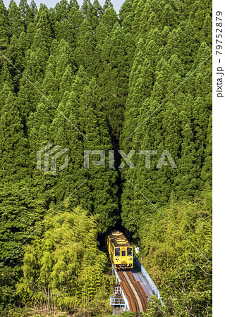 久大本線杉林のトンネル 久大本線杉林のトンネル 79752879