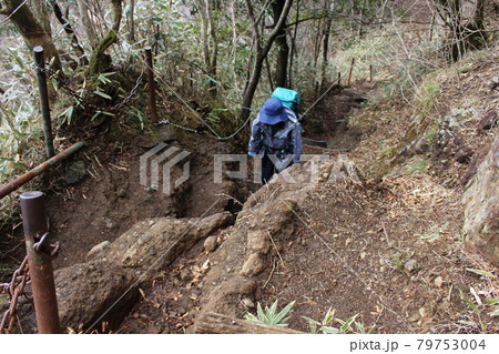 静岡県(神奈川県)の金時山を登山 静岡県(神奈川県)の金時山を登山 79753004