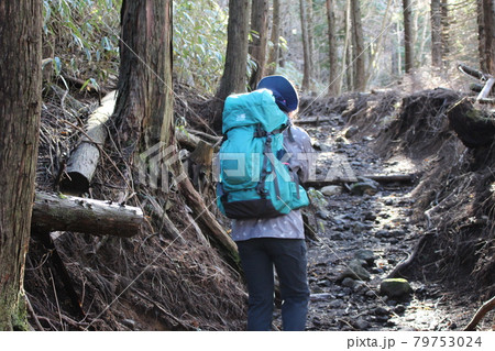 静岡県(神奈川県)の金時山を登山 79753024